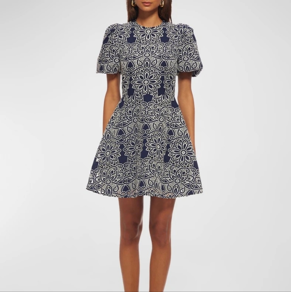 Shoshanna Trace Embroidered Puff-Sleeve Dress